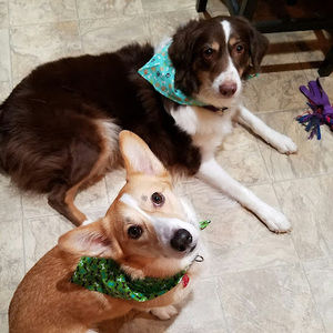 Meet your Posher, Krystyna